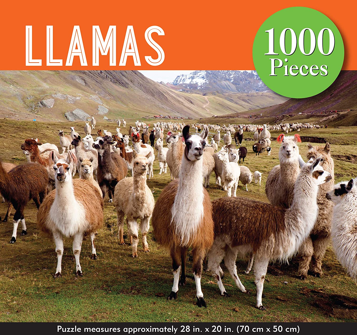 Rompecabezas 1000 piezas Llamas